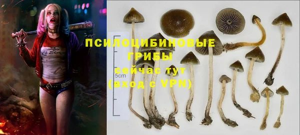ALPHA PVP Магас