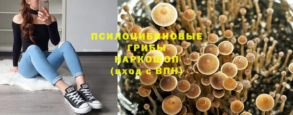 хмурый Кулебаки